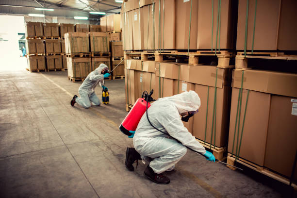 Best Pest Inspection Near Me  in Denton, NC