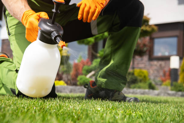 Best Bird Control  in Denton, NC