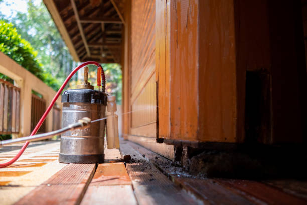 Best Pest Control for Homes  in Denton, NC