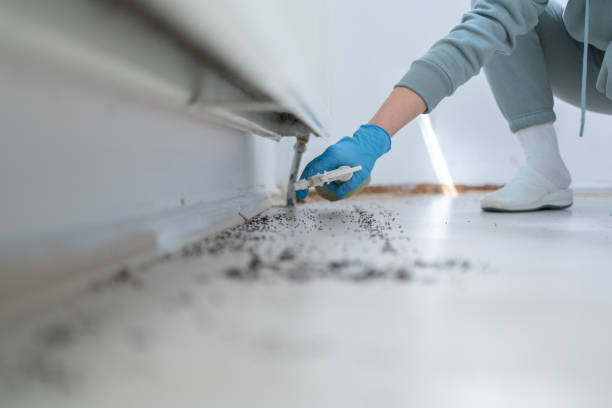 Best Affordable Pest Control Services  in Denton, NC