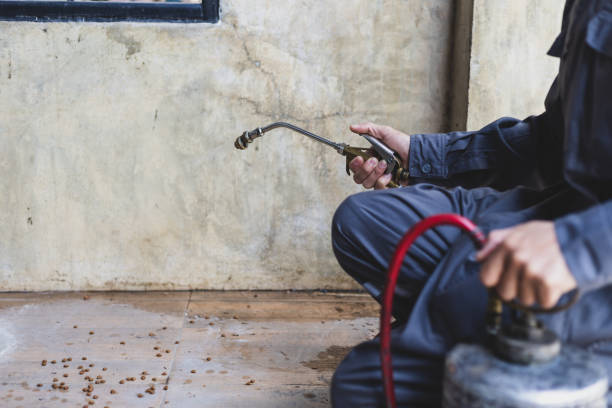 Best Residential Pest Control  in Denton, NC