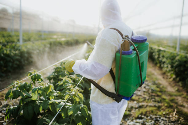 Best Ant Control Services  in Denton, NC